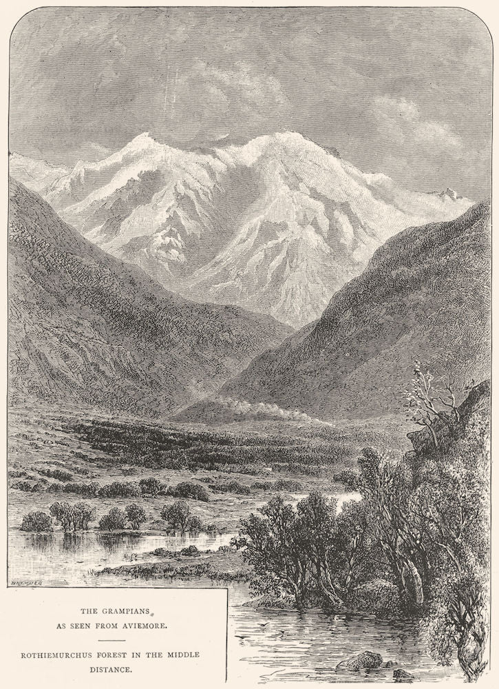 SCOTLAND. Grampians from Aviemore Rothiemurchus Forest c1886 old antique print
